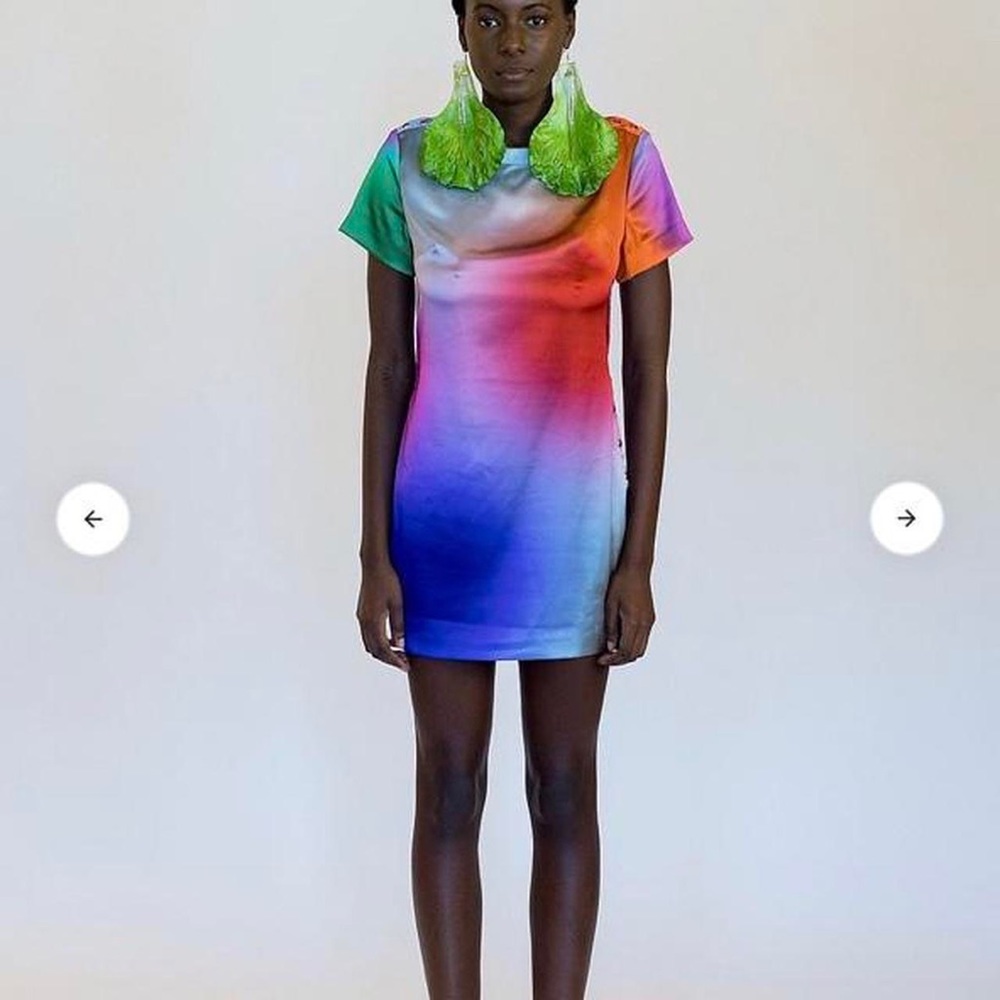 Tyler McGillivary Tilda dress blurred dots print. size L